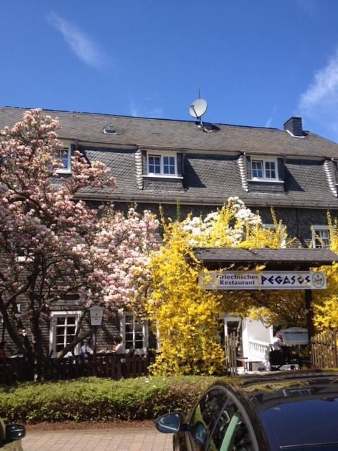 Hotel Friedrich Hachenburg Eksteriør billede